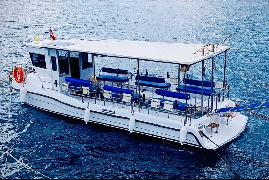 Executive Bosphorus Fishing Experience